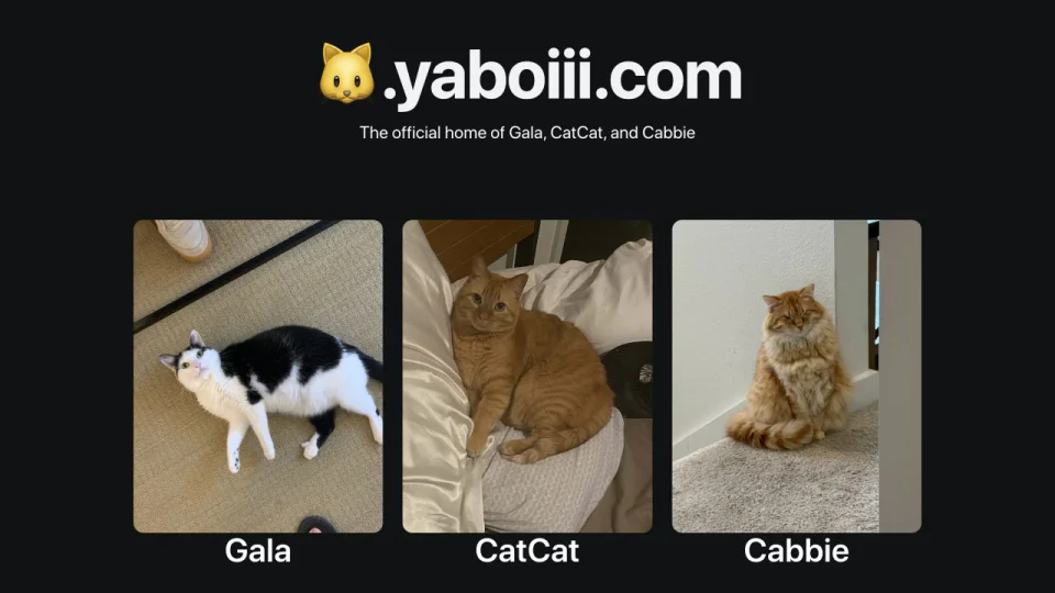 The cat site showing portraits of Gala, CatCat, and Cabbie.